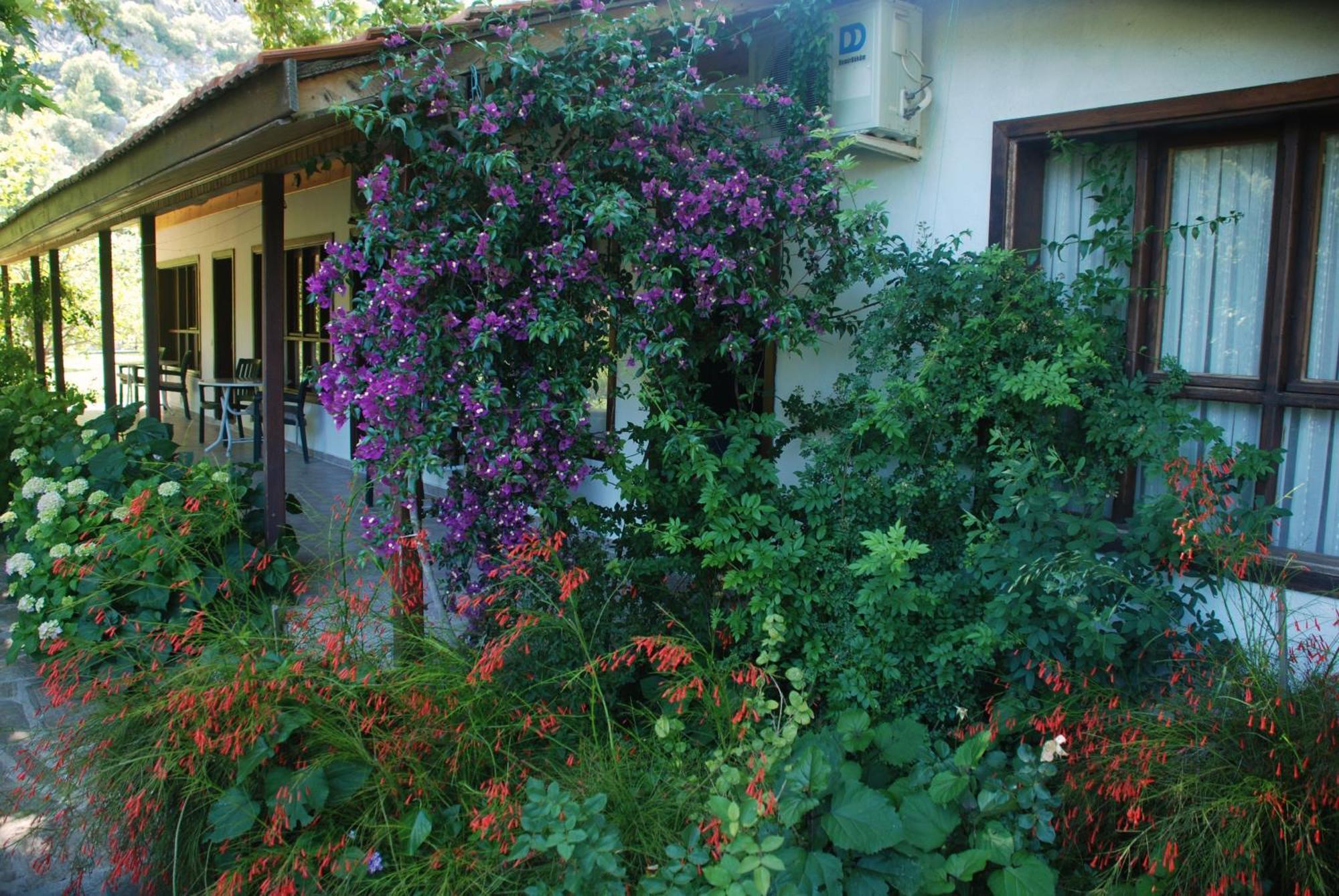 Dolunay Apart Hotel Cirali Bagian luar foto