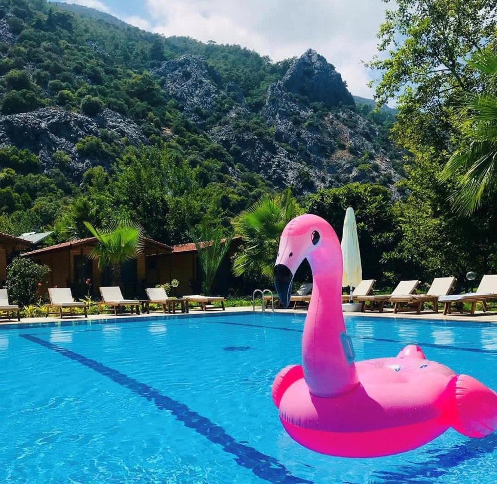 Dolunay Apart Hotel Cirali Bagian luar foto