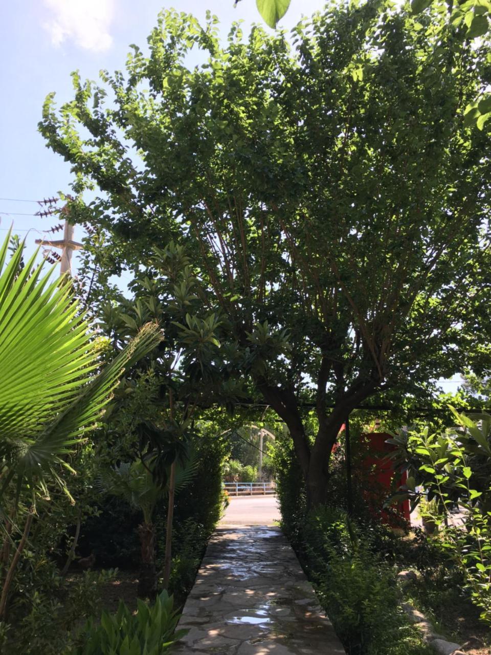 Dolunay Apart Hotel Cirali Bagian luar foto